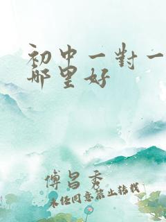 初中一对一辅导哪里好