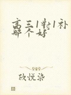 高三1对1补习哪个好