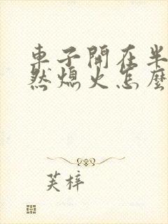 车子开在半路突然熄火怎么回事