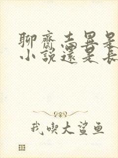 聊斋志异是短篇小说还是长篇小说