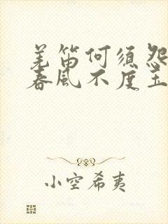 羌笛何须怨杨柳春风不度玉门关什么意思