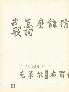 我怎么能猜透你歌词