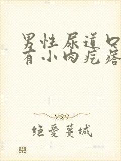 男性尿道口旁边有小肉疙瘩怎么回事