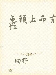 龟头上面有小肉粒