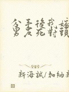 分手后我嫁给前男友死对头沈淮