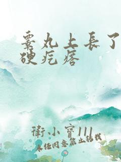 睾丸上长了好多硬疙瘩