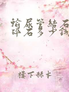 输尿管结石软镜碎石多少钱