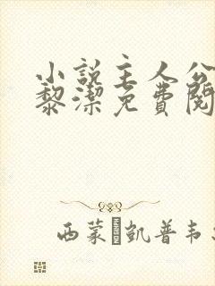 小说主人公叶阳黎洁免费阅读