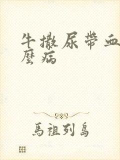 牛撒尿带血是什么病