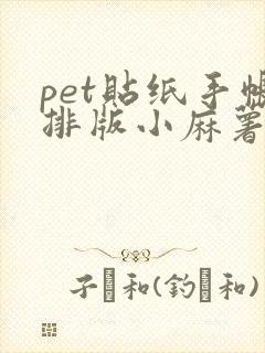 pet贴纸手帐排版小麻薯