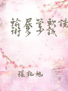 输尿管软镜排石术多少钱