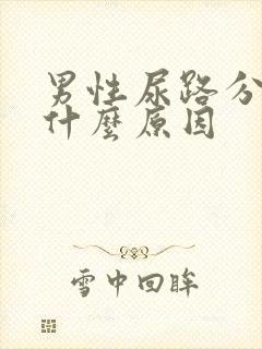 男性尿路分叉是什么原因