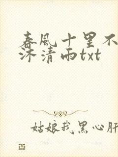 春风十里不如你沐清雨txt