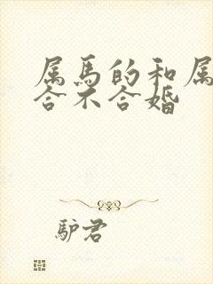 属马的和属狗的合不合婚