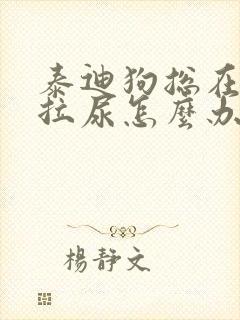 泰迪狗总在屋里拉尿怎么办