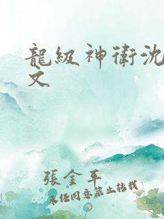 龙级神卫沈浪全文