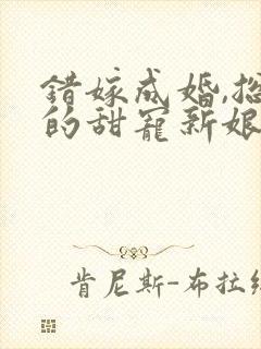 错嫁成婚,总裁的甜宠新娘