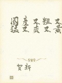 国产又粗又长又猛又爽又黄视频