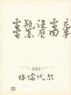 电瓶没电充不上电怎么回事