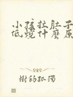 小孩拉肚子反复低烧什么原因引起的