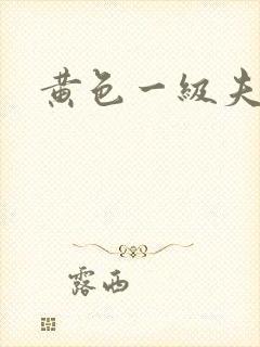 黄色一级夫妻片