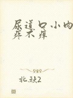 尿道口小肉粒不疼不痒