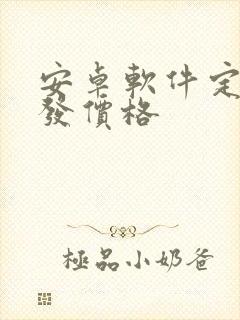 安卓软件定制开发价格