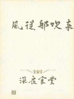 风从那吹来小说