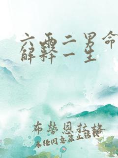 六两二男命详细解释一生