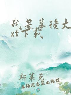 我是幕后大佬txt下载