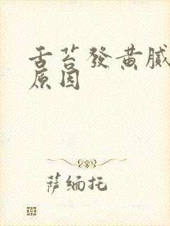 舌苔发黄腻什么原因