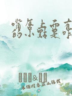 嘴唇上面有白色的小点是咋回事