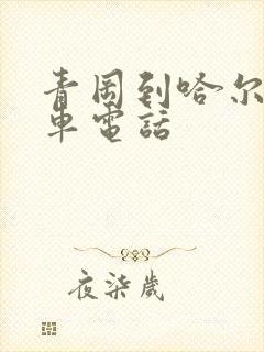 青冈到哈尔滨客车电话