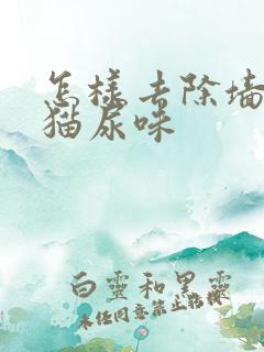 怎样去除墙上的猫尿味