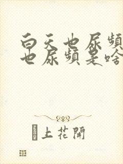 白天也尿频晚上也尿频是啥原因