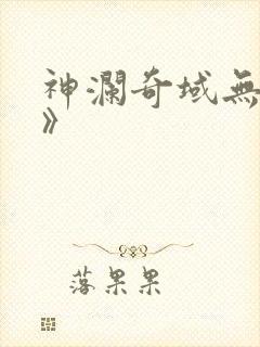 神澜奇域无双珠》