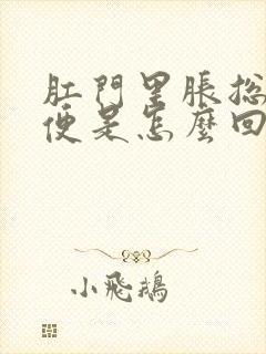 肛门里胀总想大便是怎么回事