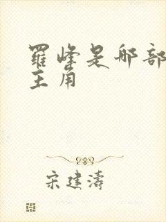 罗峰是哪部动漫主角