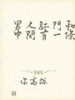 男人肛门和睾丸中间有一条隆起线