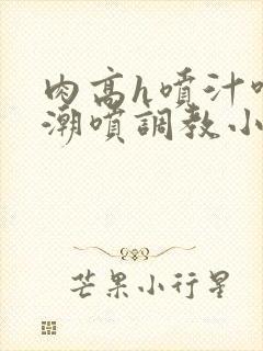 肉高h喷汁呻吟潮喷调教小说