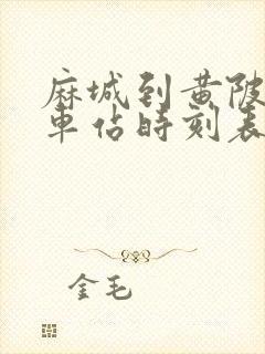 麻城到黄陂的汽车站时刻表