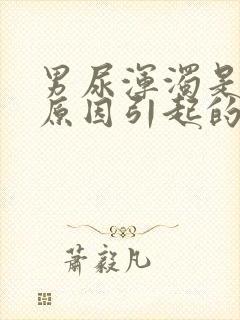 男尿浑浊是什么原因引起的