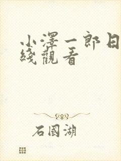 小泽一郎日剧在线观看