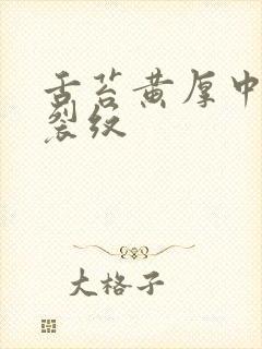 舌苔黄厚中间有裂纹