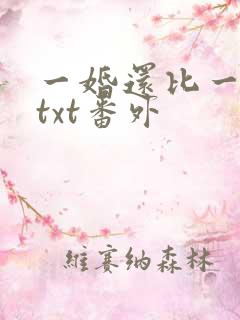 一婚还比一婚高txt番外