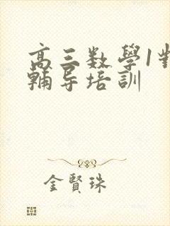 高三数学1对1辅导培训