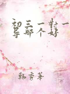 初三一对一的辅导哪个好