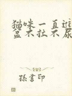 猫咪一直进猫砂盆不拉不尿