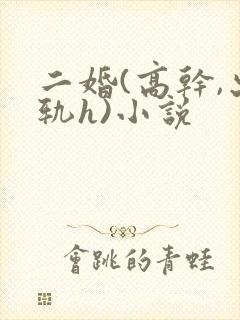 二婚(高干,出轨h)小说