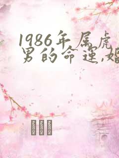 1986年属虎男的命运,婚姻状况?